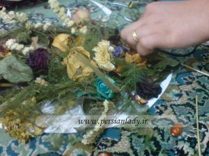 www.persianlady.ir