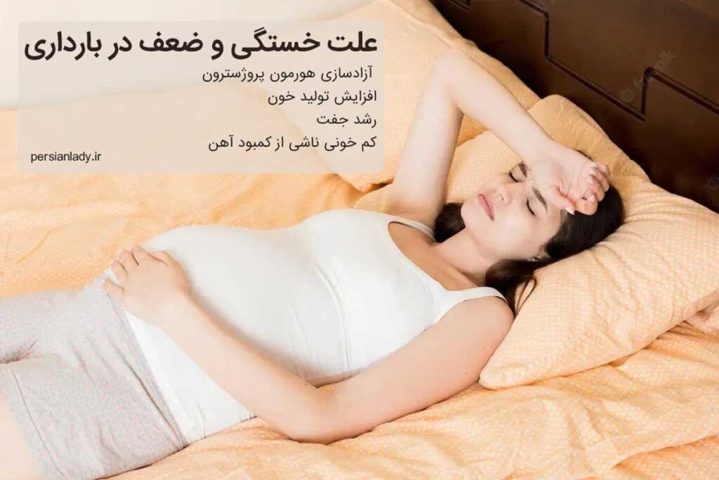 سایت پرشین لیدی
