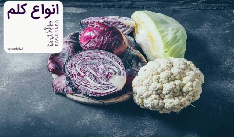 شناخت انواع کلم | معرفی خواص و مزایای مصرف کلم در طول روز