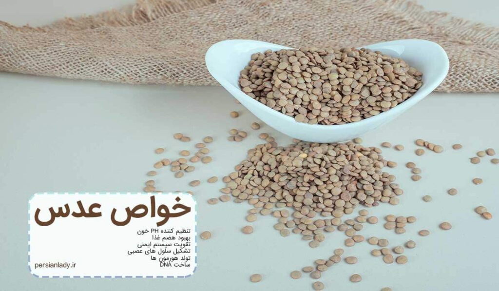 خواص عدس