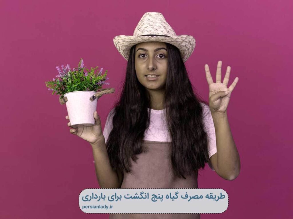 طریقه مصرف گیاه پنج انگشت برای بارداری