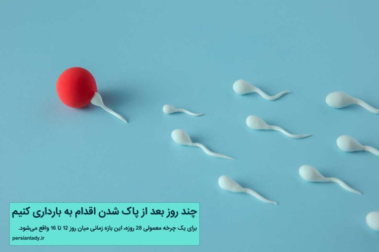 بهترین زمان برای اقدام به بارداری بعد از پاک شدن از قاعدگی