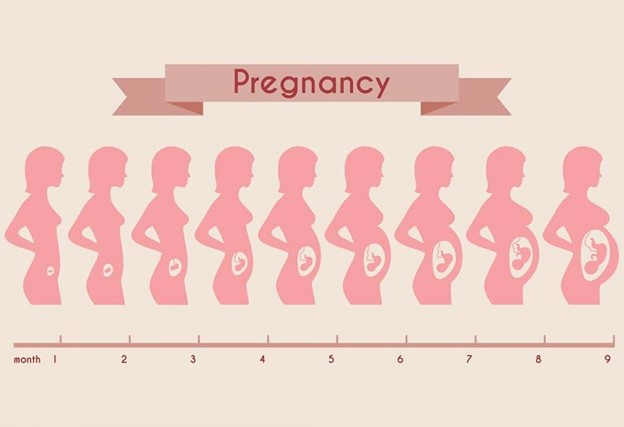 محدودیت رشد جنین در بارداری و علل آن