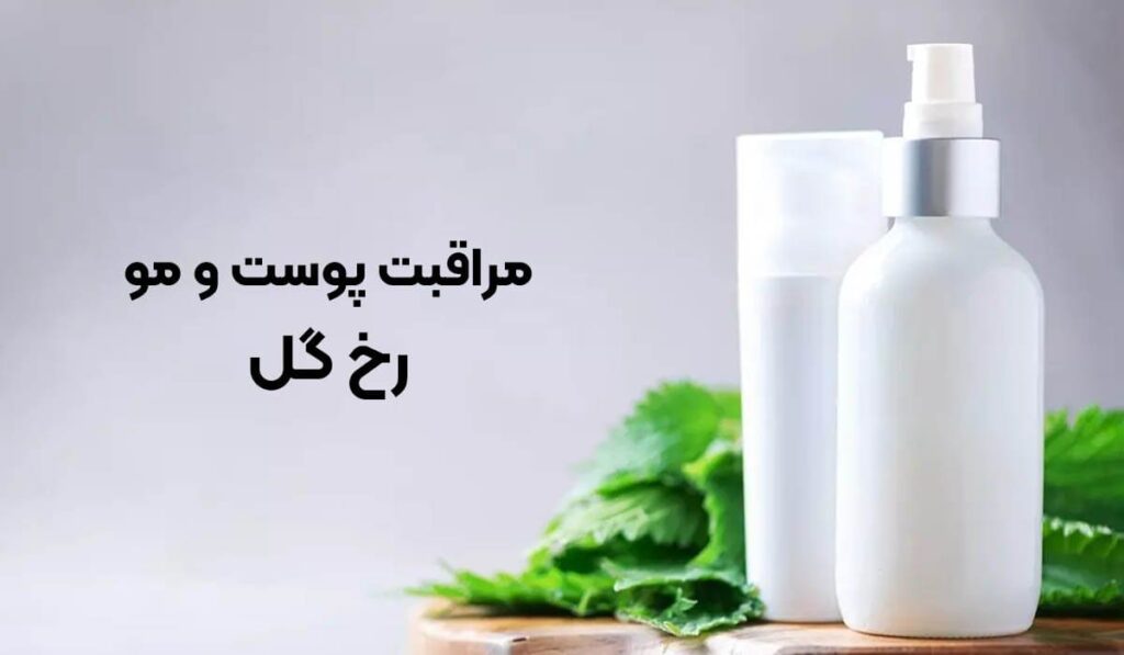 دروازه‌ای به روتین پوستی کره‌ای؛ فروشگاه رخ گل!