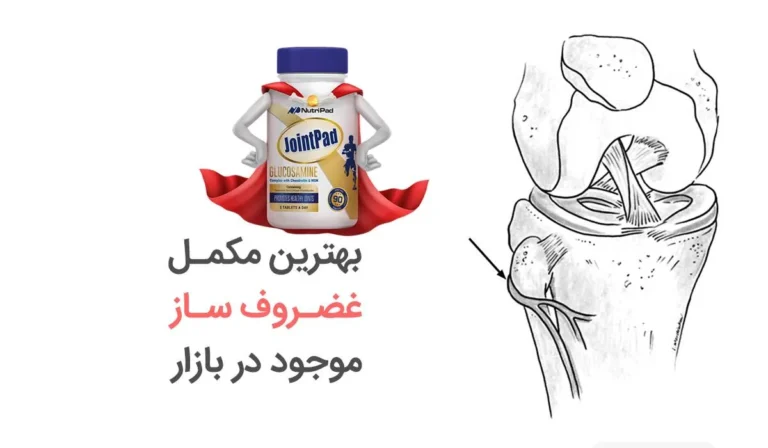 راهکارهای مؤثر برای سلامت استخوان‌ و مفاصل