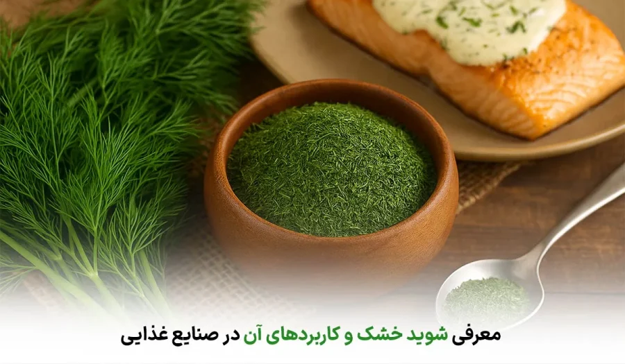 چطور کیفیت شوید خشک را تشخیص دهیم؟