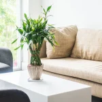 تاثیر جلو مبلی در دکوراسیون مینیمال؛ چه رنگ و جنسی با مبل هماهنگ است؟ تاثیر جلو مبلی در دکوراسیون مینیمال؛ چه رنگ و جنسی با مبل هماهنگ است؟