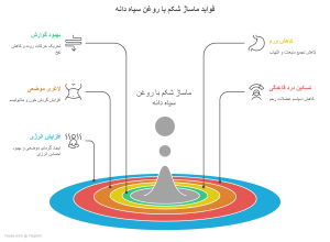 فواید مالیدن روغن سیاه دانه به شکم