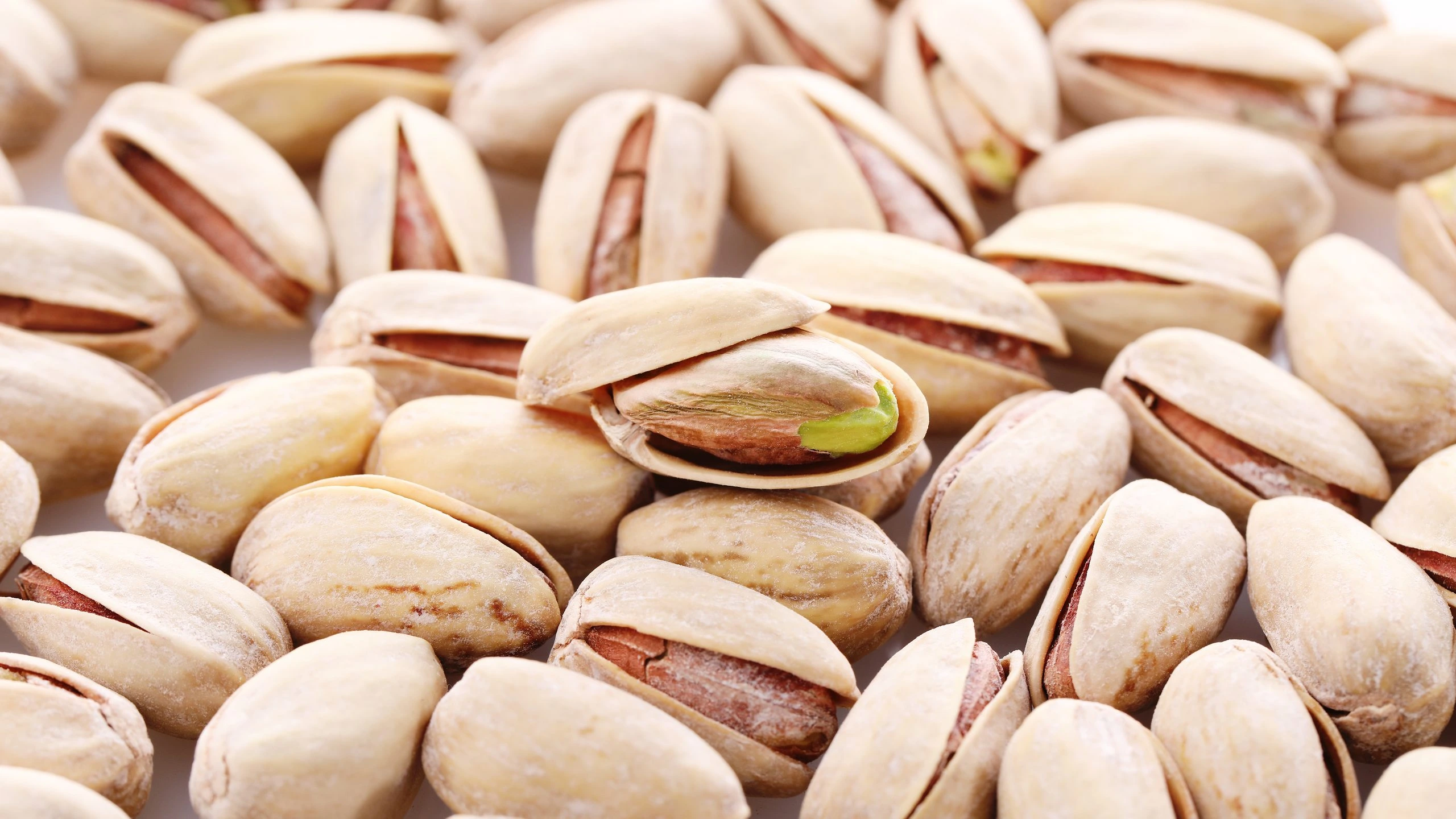 پسته در آشپزی و شیرینی پزی؛ از سفره هفتسین تا دسرهای مدرن پسته در آشپزی